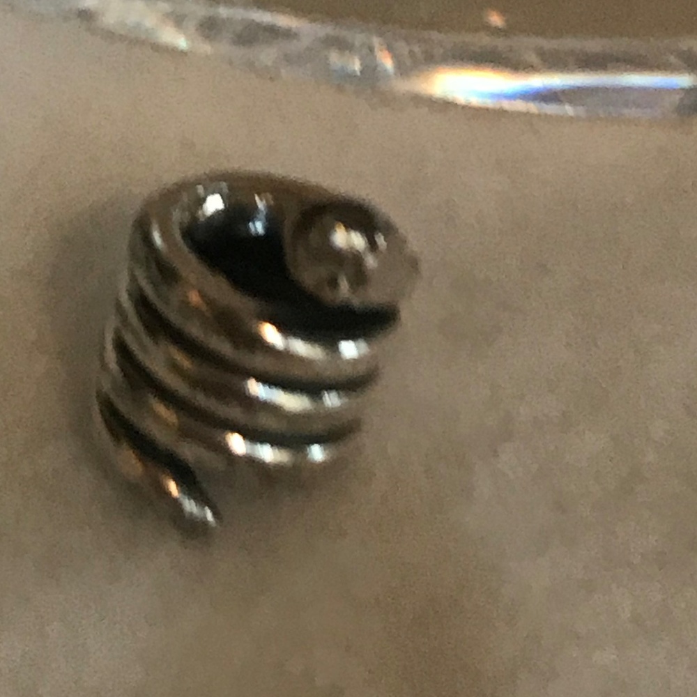 Pandora Charm